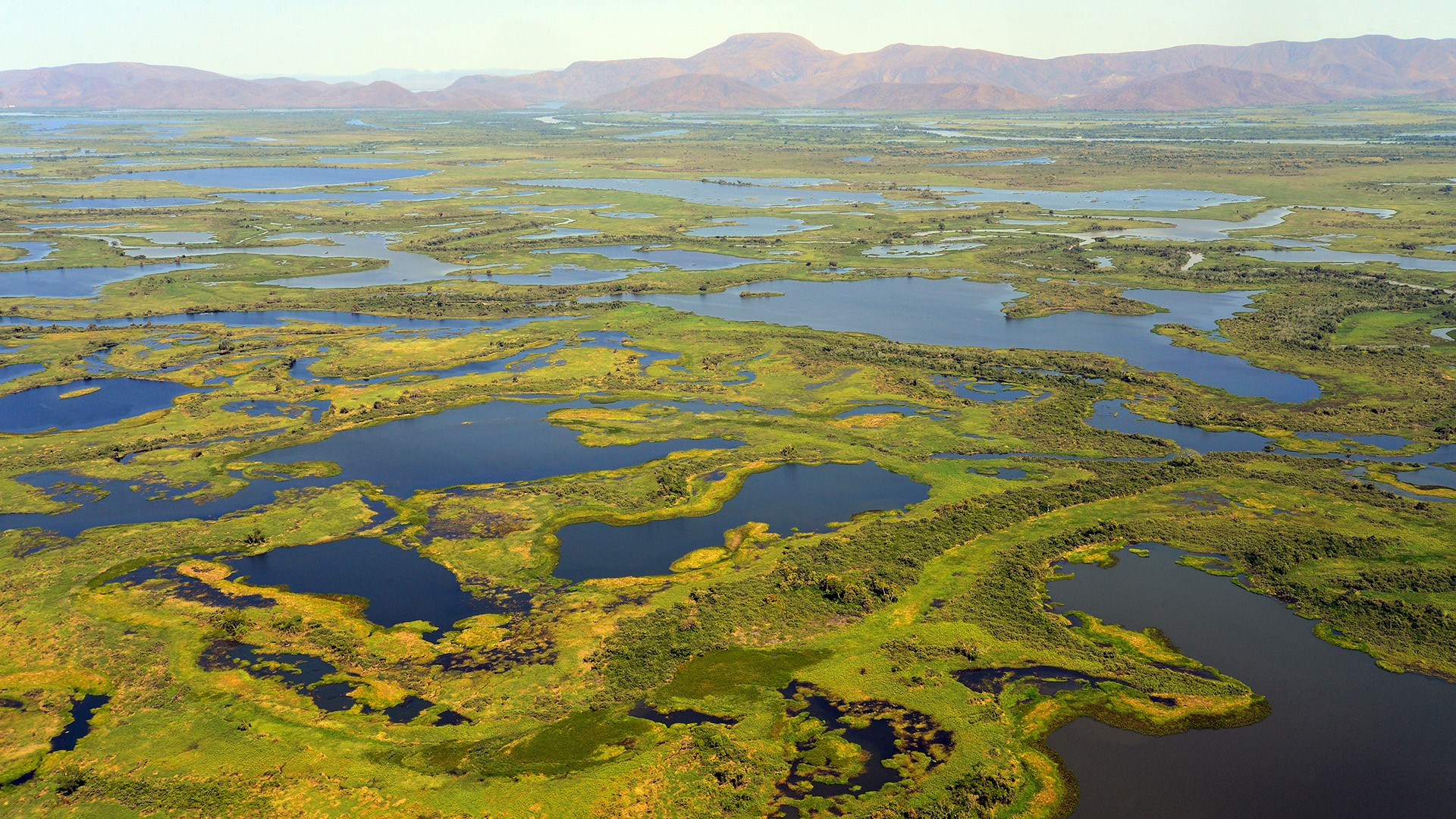 Wetlands Vital For Biodiversity, Humankind