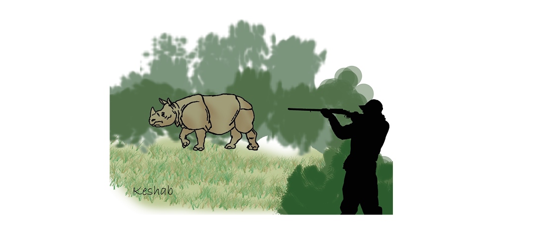 Officials Claim Evident Progress In Drive Against Poaching