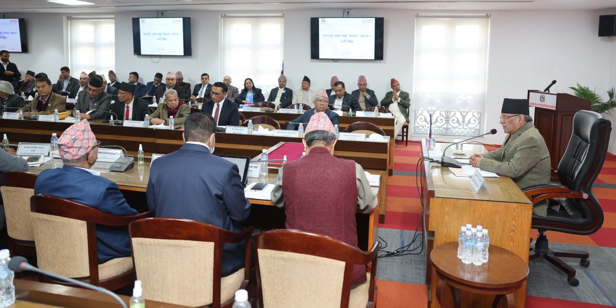 PM consults stakeholders to revive economy