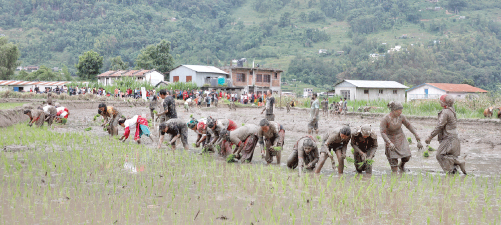 Budget in agro sector increasing, but production decreasing