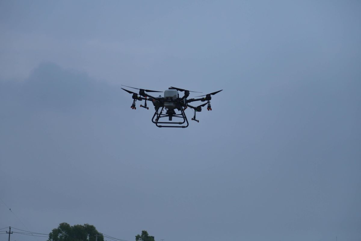 National Paddy Day marked with machine planting rice and drone broadcasting fertilizer